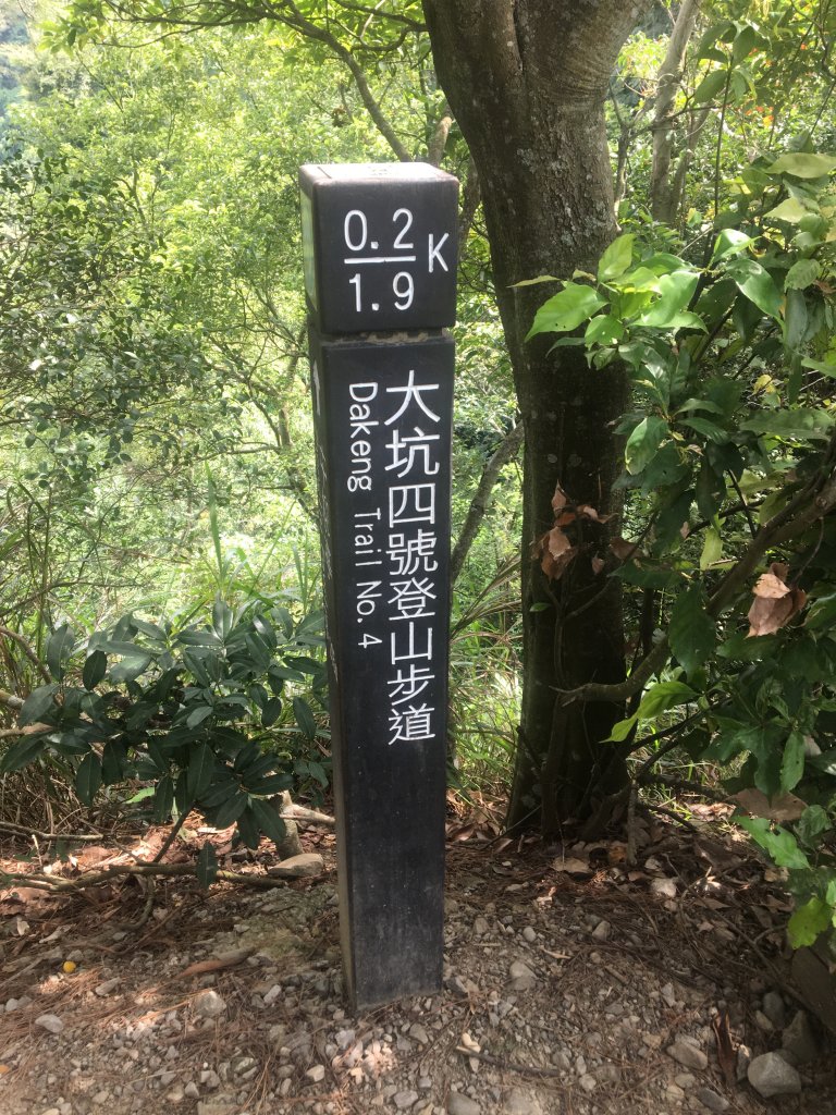 大坑4號步道封面圖