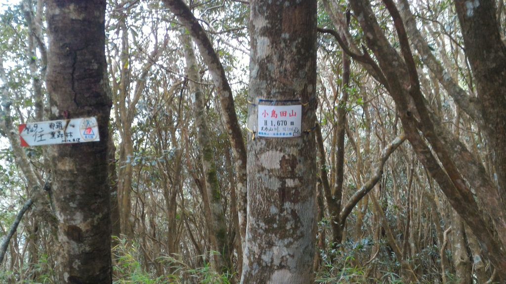 高台山+大中小島田_102499