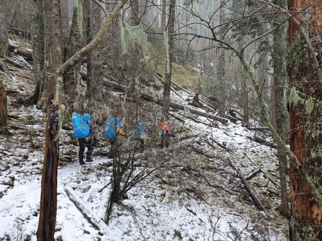 用雙腳看台灣．雪北撤退~雪太深了太難了~目前不建議前往_1617237