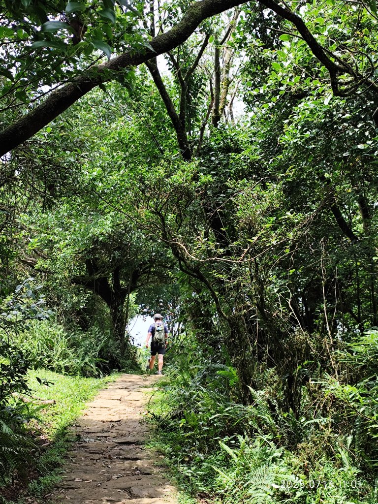 擎天崗→石梯嶺→頂山→風櫃嘴→天溪園→聖人橋【任務二 2025臺北大縱走 3+4】_2836623