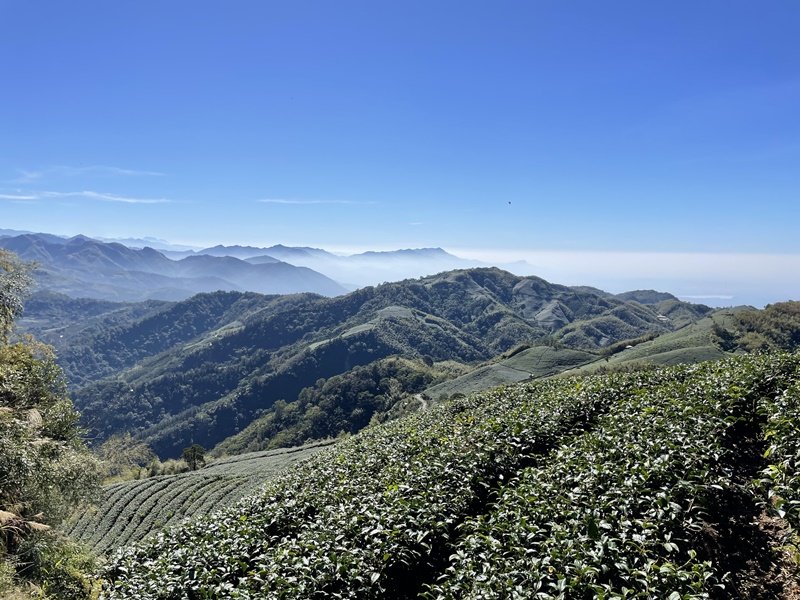 雲嘉七連峰_2663073