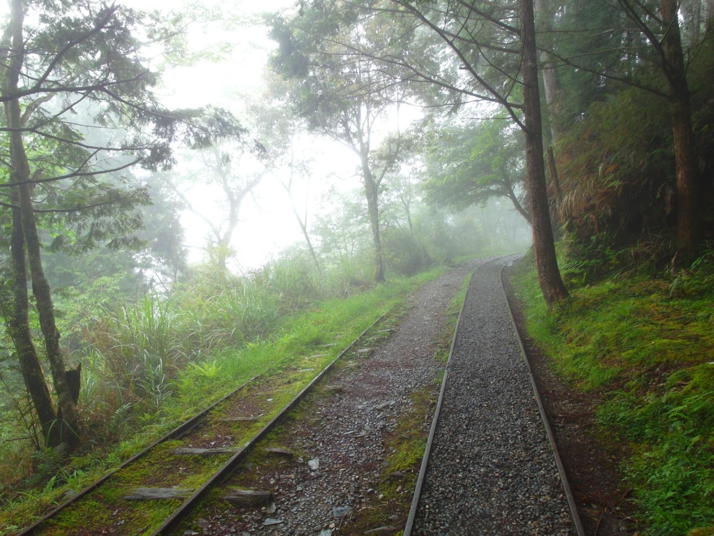 太平山之見晴懷古步道_43110