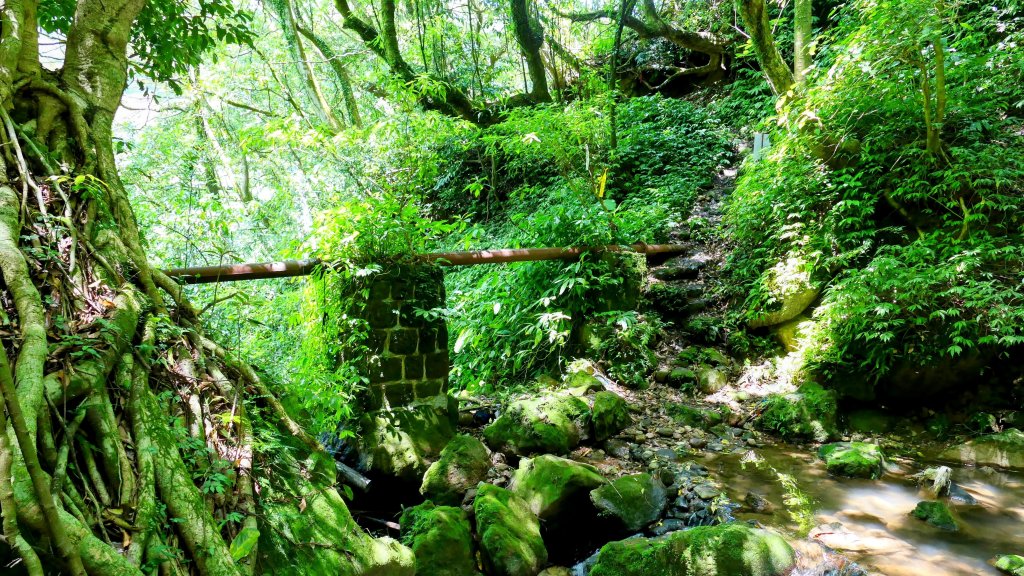 猴崁古道。盧特訪積_2773300