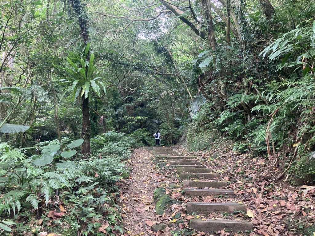 土庫岳_2527738