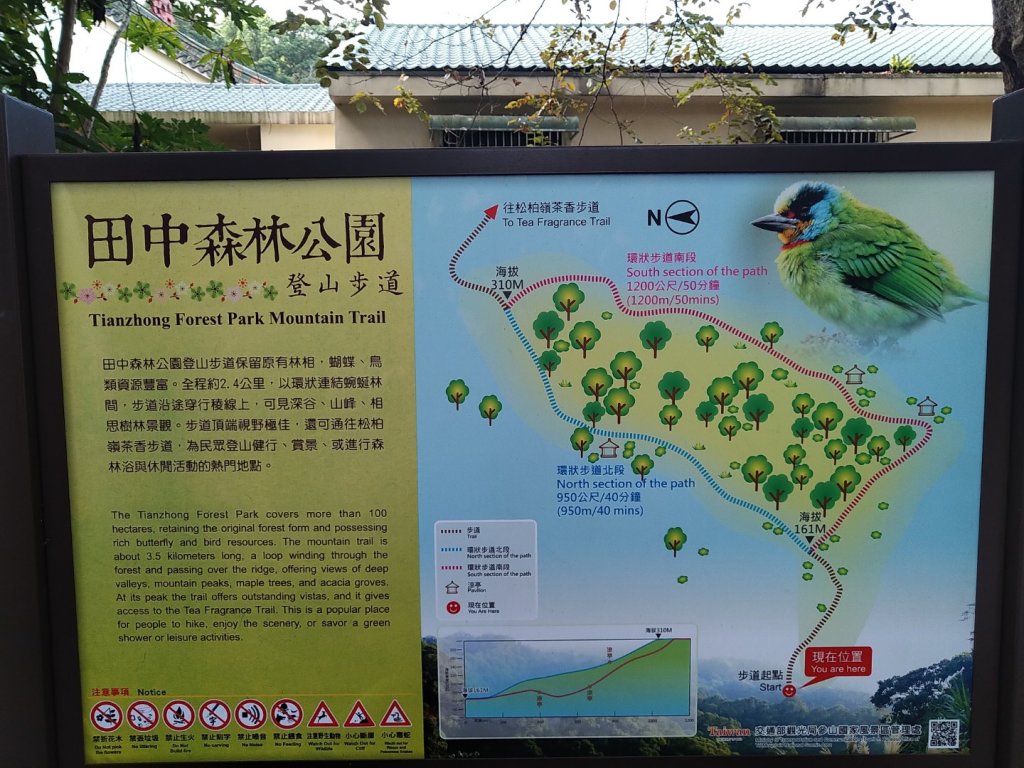 鼓山尖峰泡茶趣---田中森林登山步道封面圖