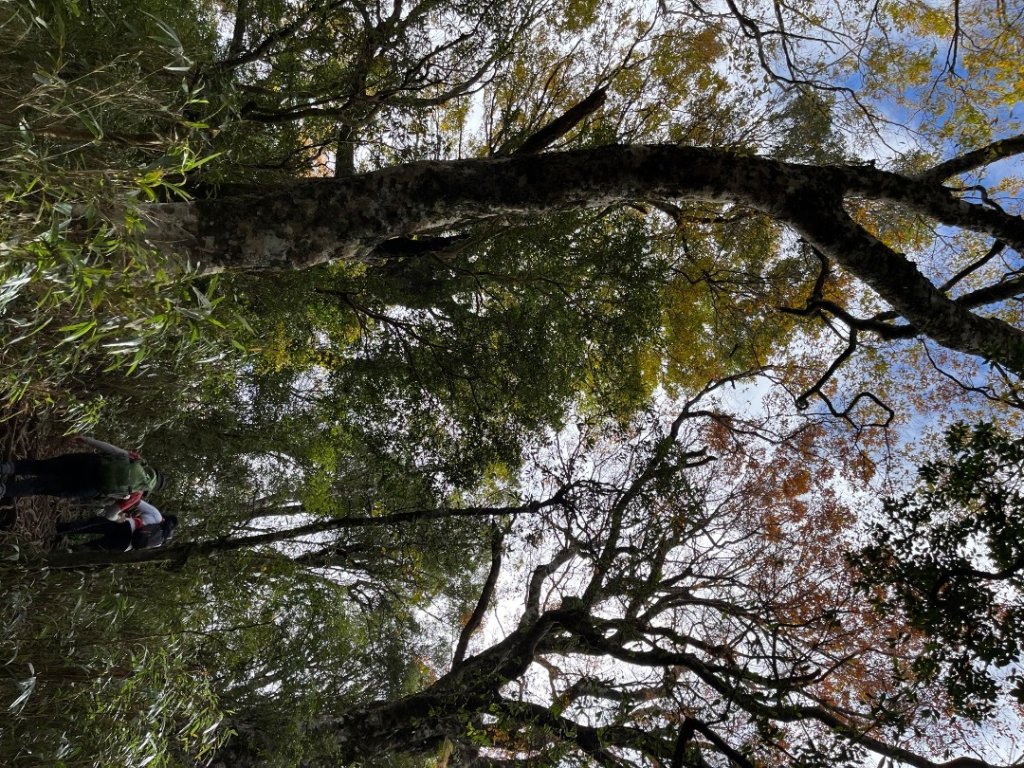 20221112_北得拉曼山_2762257