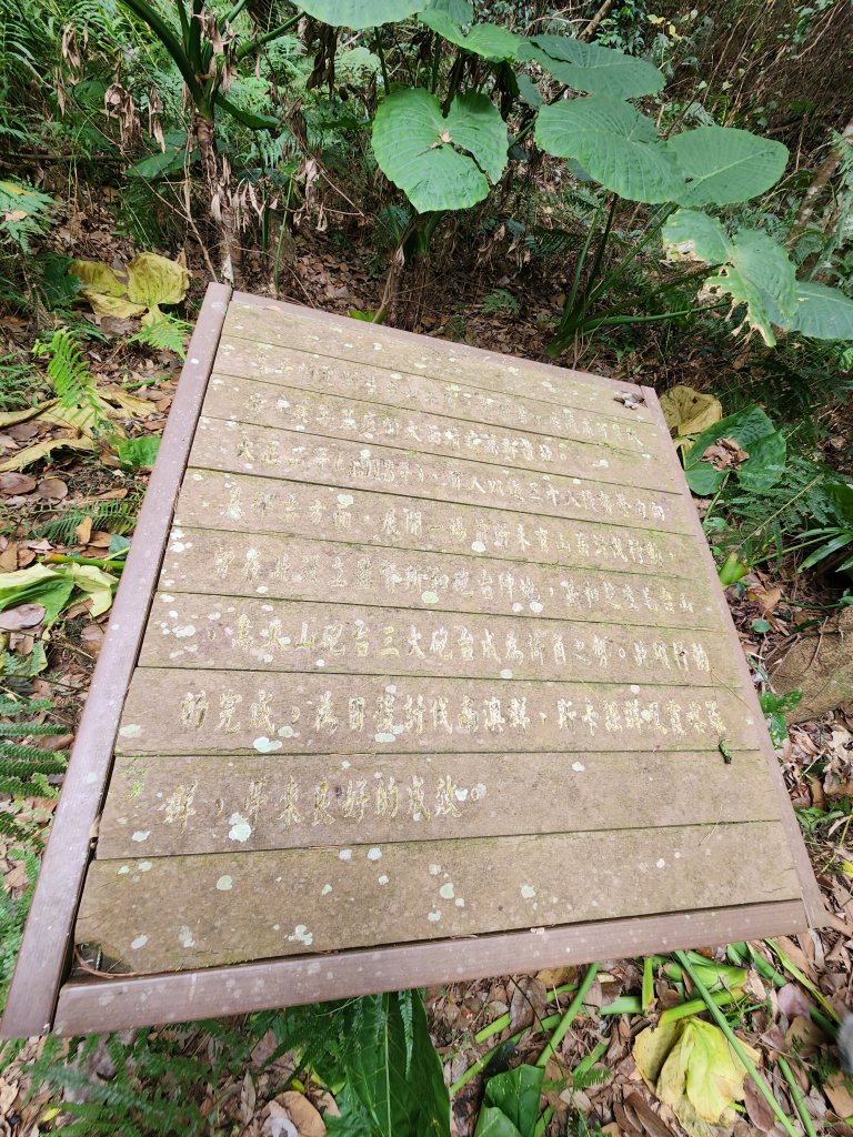 112/2/11芝生毛台山、屯野生炮台_2148017