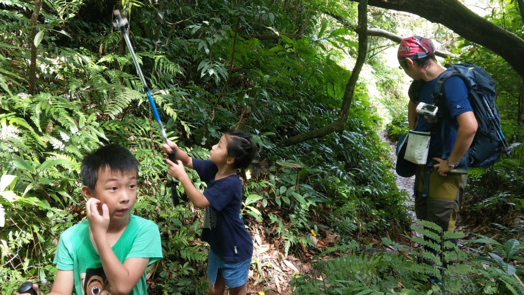 新溪洲山之樂_400380