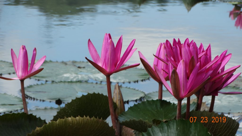 貢寮巡田水-桃源谷步道草嶺線_634769