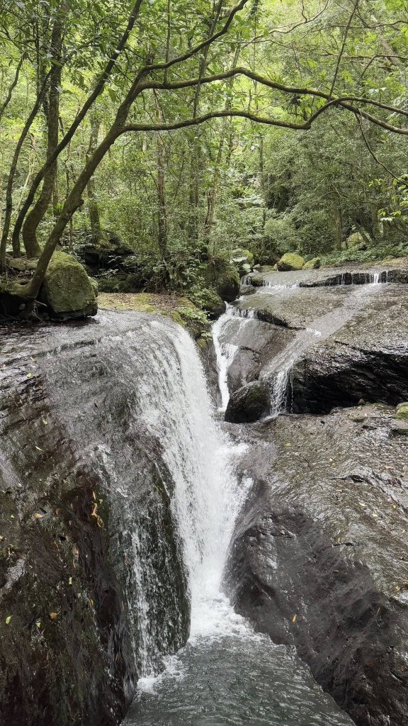 20250629三峽雲森瀑布封面圖