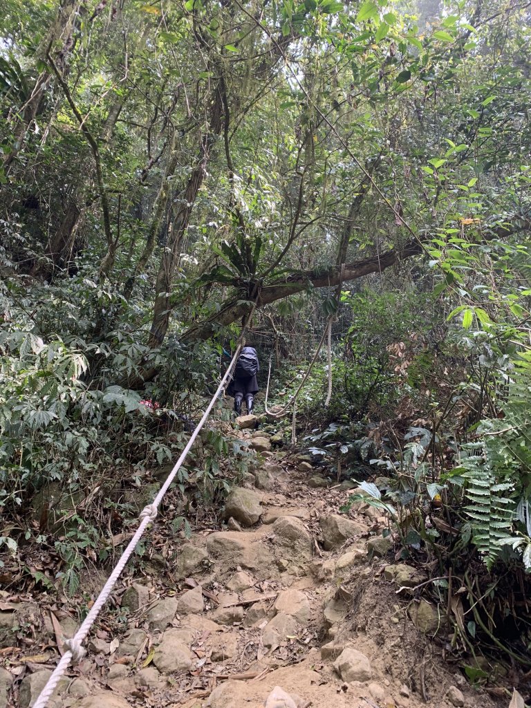 20240330台南雞九凍-雞胸山縱走_2470004