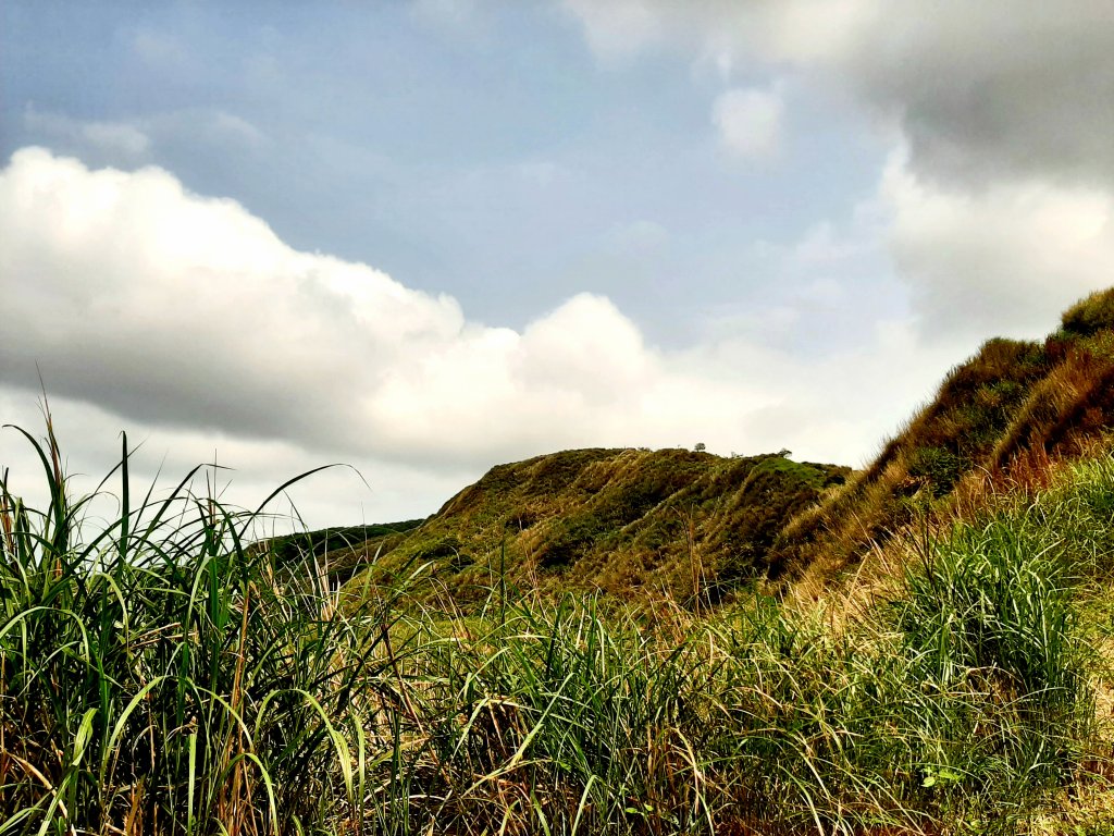 走遍陽明山：擎天崗系｜景遠心自闊，潺潺溪水聲洗去一身憂_2113908