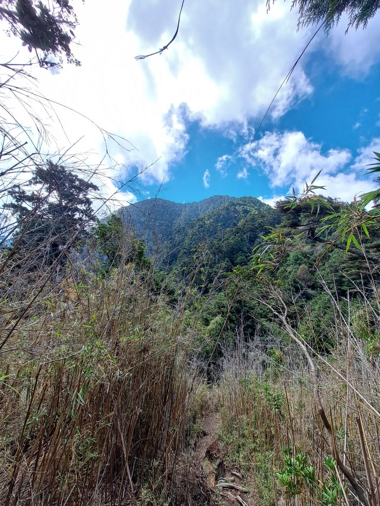 西巒大山(2022.08.11)_1884414