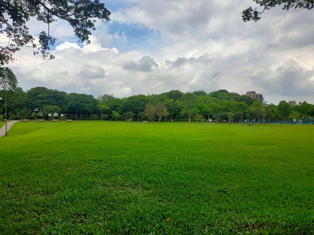 ［健康大穀東］（5~6）：［ 南港公園+228公園］（2023/7/18）_2236439