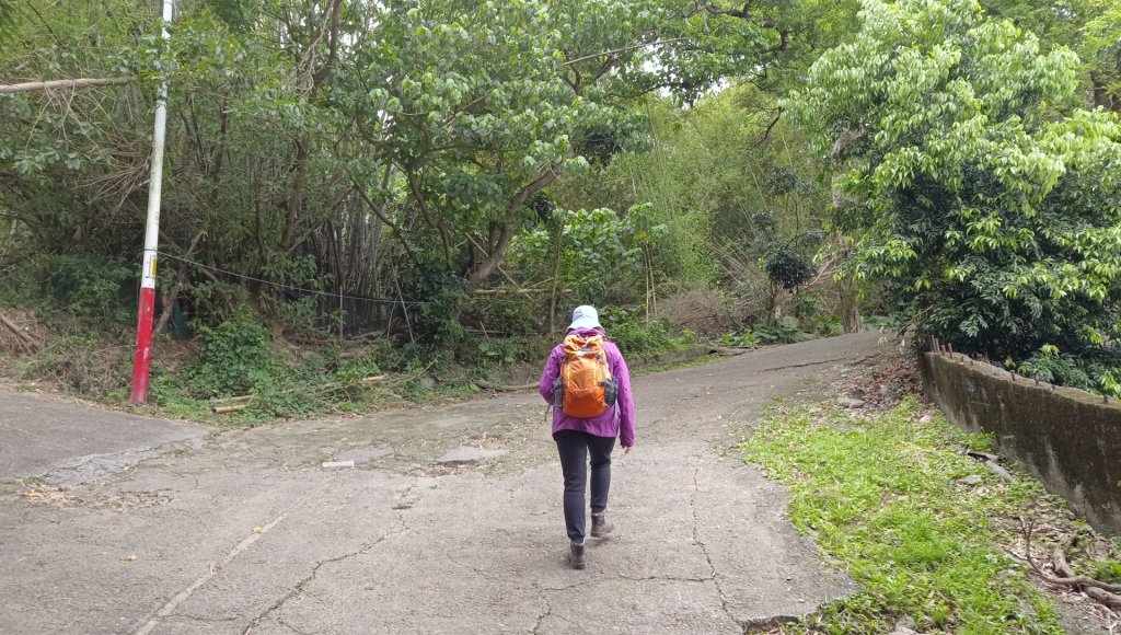 (姨婆趴趴走)第五十集:新北樹林大同山、青龍嶺、大棟山諸峰連走_2751521