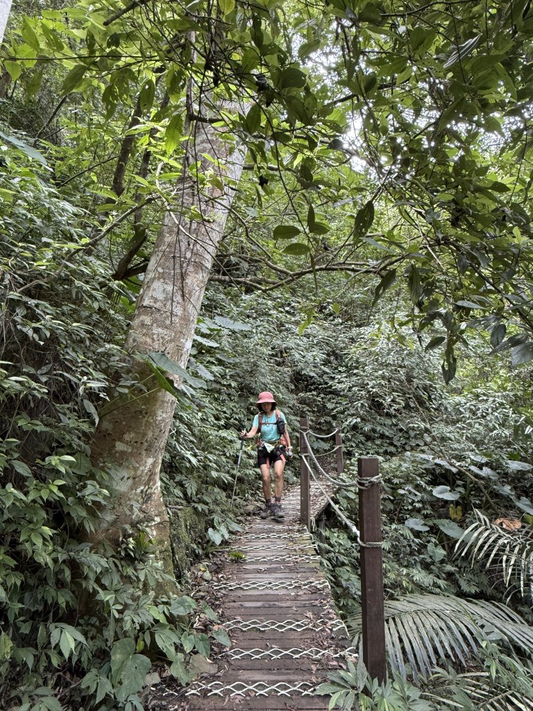 唐麻丹+蝴蝶谷O繞_2887843