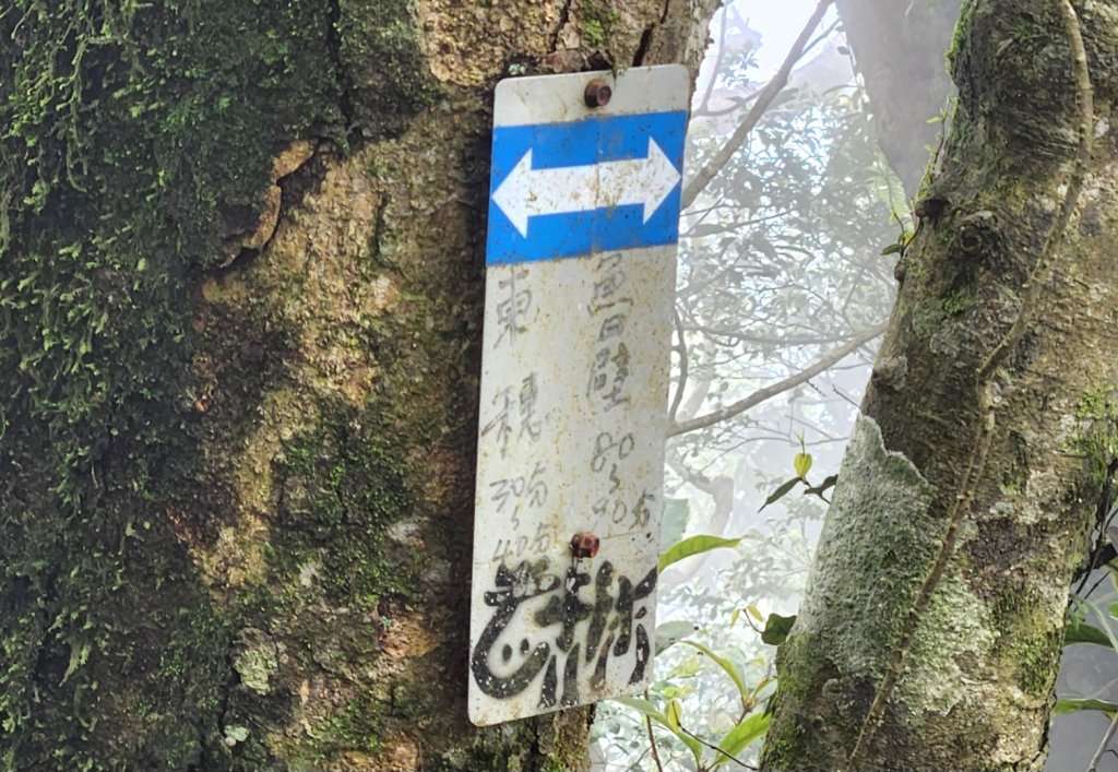 【中級山縱走】魯壁山，東穗山，大島田山，宇老觀景台_2771643