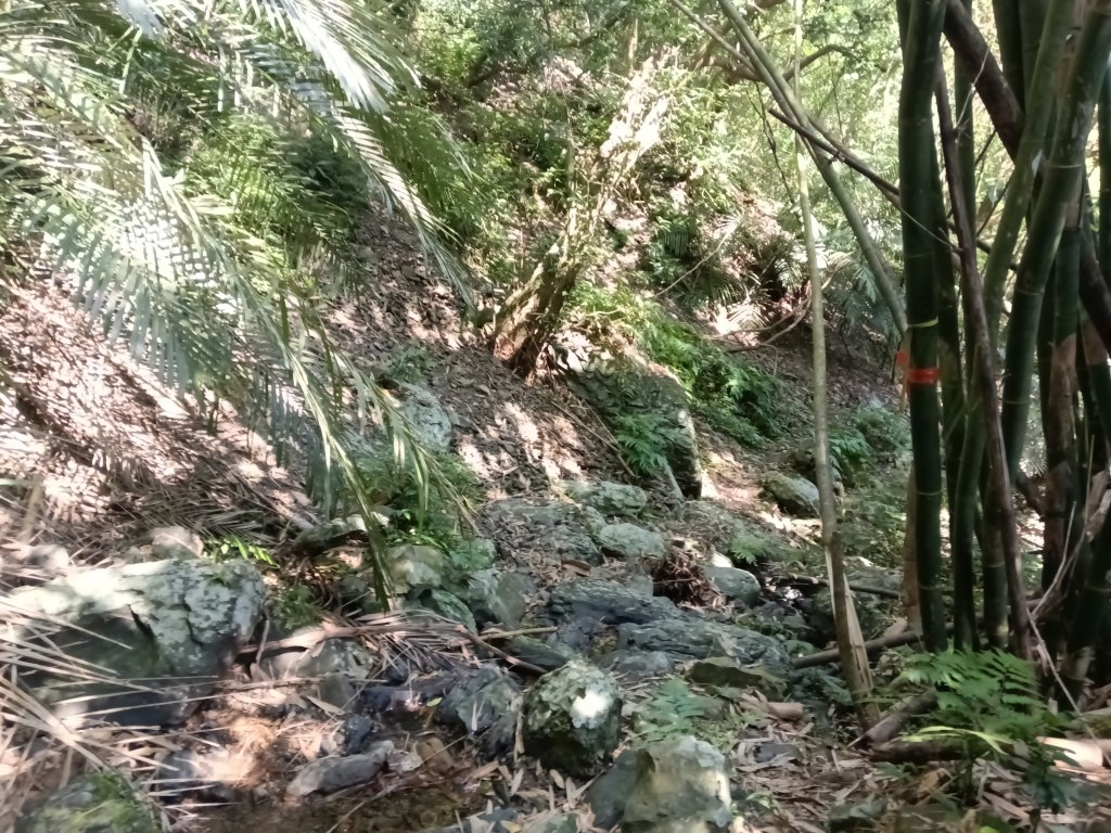 頭城鎮龜山車站+北關山豬線+叢雲山+梗枋古道出龜山車站O型_3007675