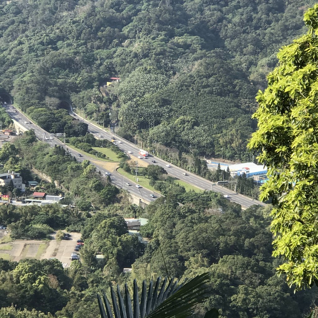 2020.2.1天山上縱走 三峽到到新店_820862