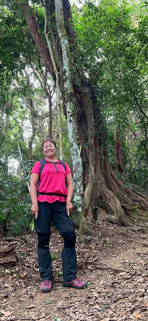 馬那邦山（珠湖登山口）_2933984