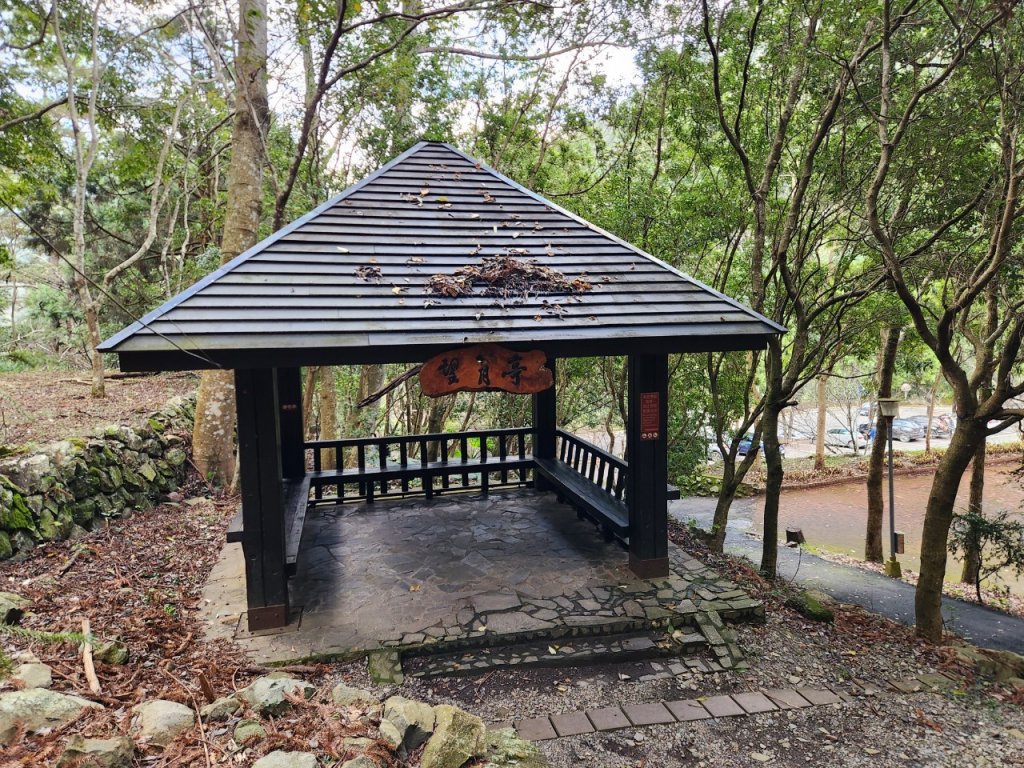 【中級山】谷關七雄八仙山_2745034