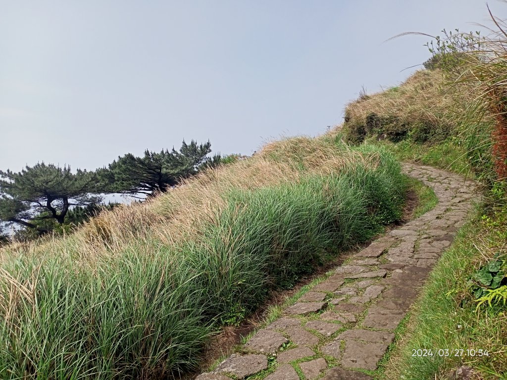 【臺北大縱走 3】冷水坑→七星山東峰→冷擎步道→牛奶湖→菁山吊橋_2468546