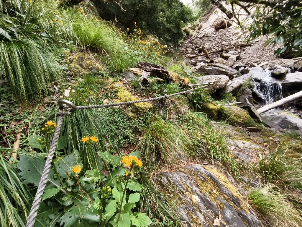 北一段(04/14)中央尖山 2025_0906~13_2885427