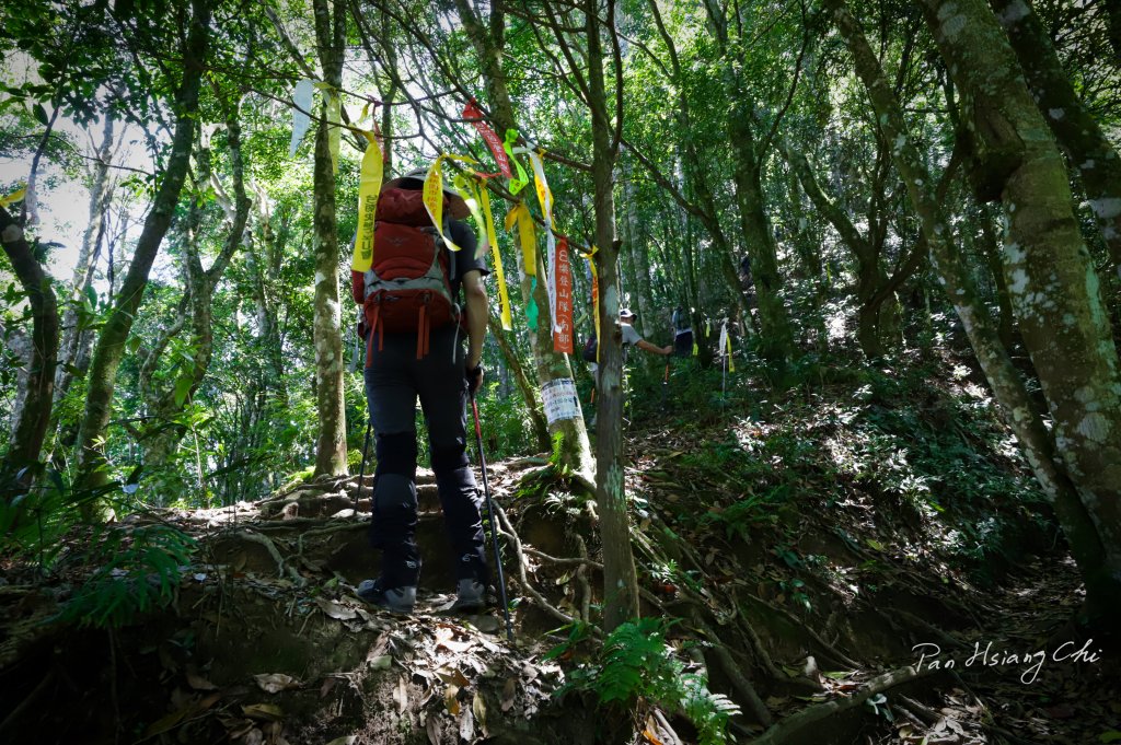 大暑日之高島P型縱走_1774768