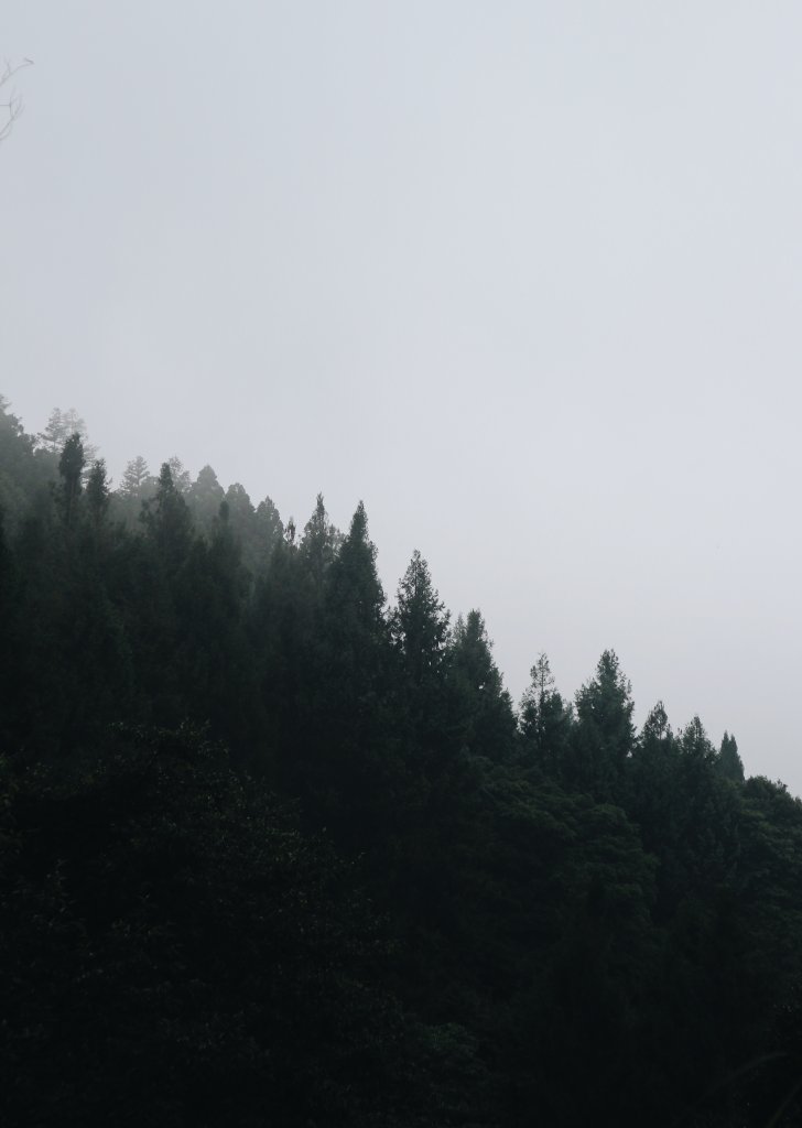 油羅山・羅山林道｜豪華露營、悠閒健行封面圖