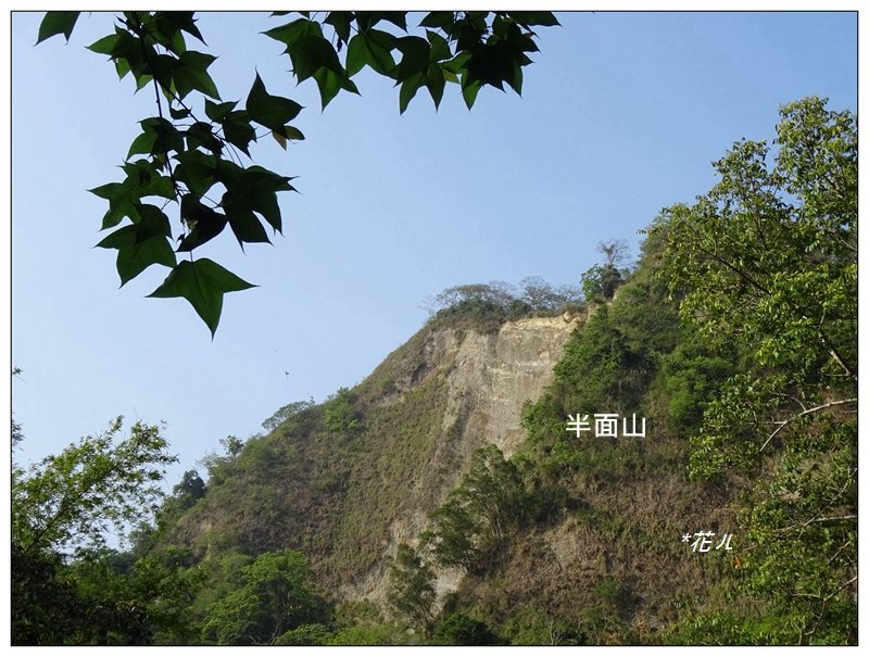 霧峰/桐林花廊步道_924428