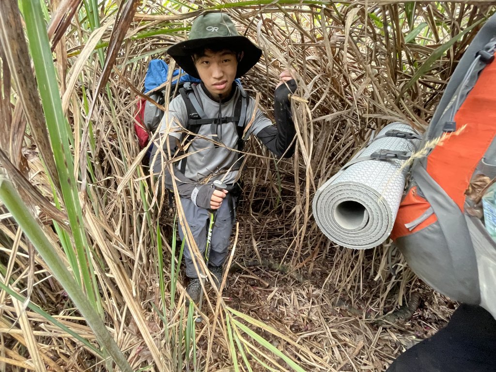 迴頭彎上鍛鍊山海鼠山O型縱走(下)_1312448