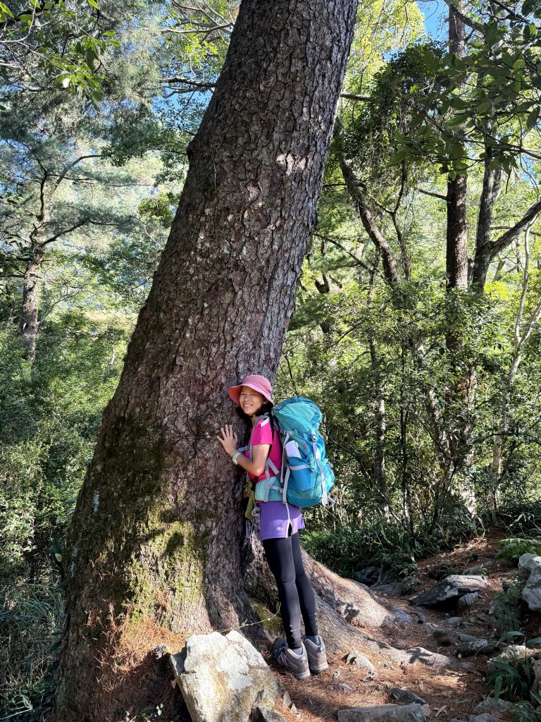 波津加山 20250914_2893370