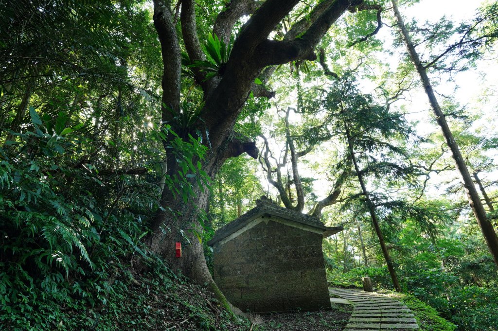 苗栗 南庄 神桌山、大屋坑山、細湖頂山、象山_2533557