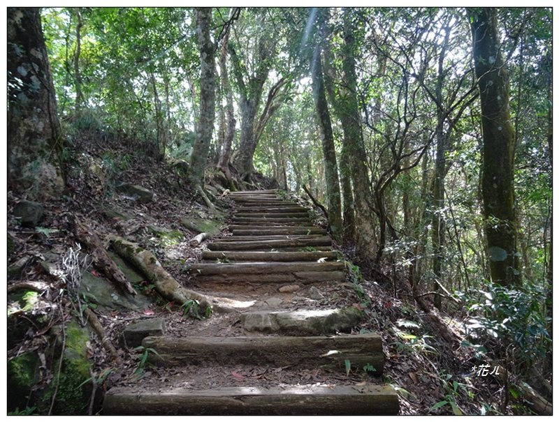 馬那邦山(小百岳)/上湖登山口_2427054