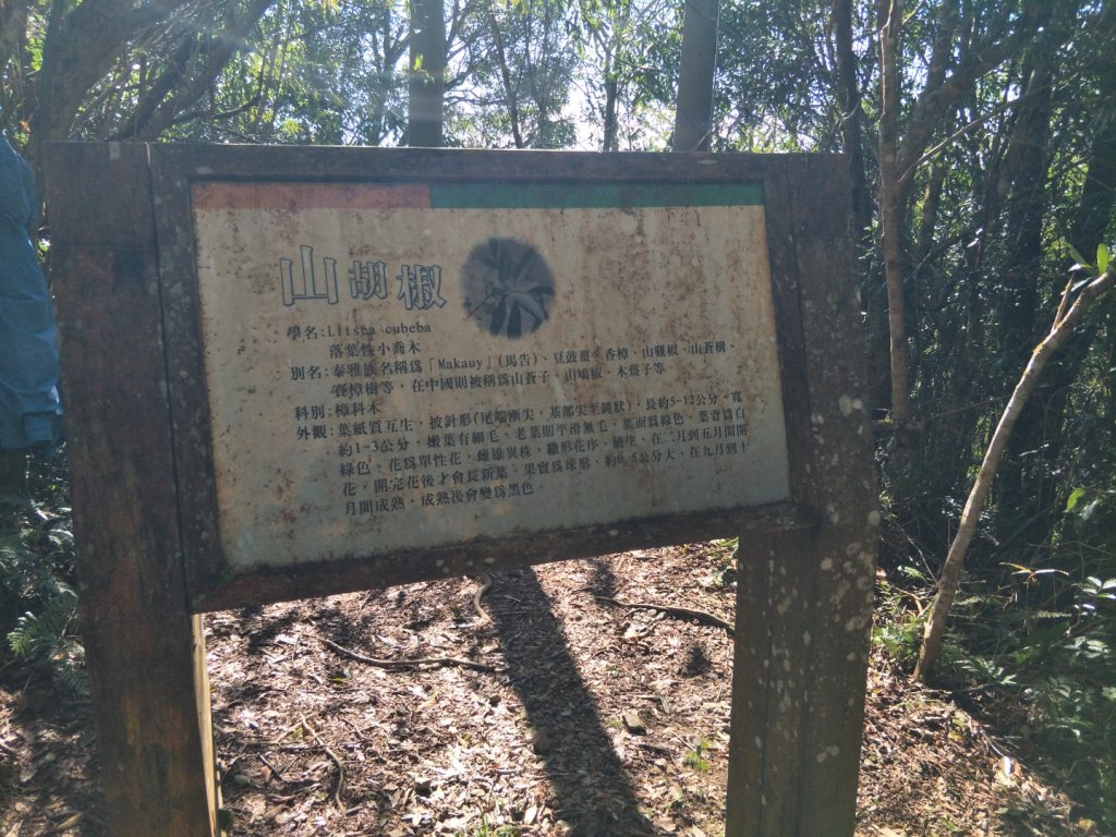 小百岳:李凍山_1619245