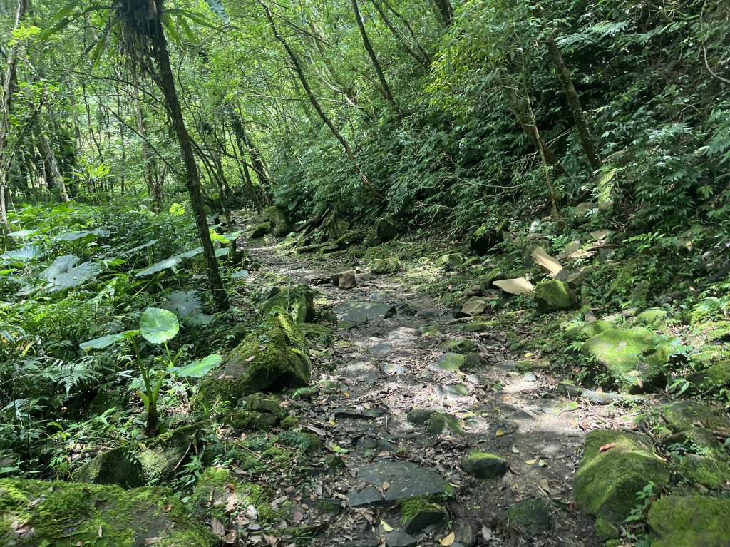[淡蘭古道] 2024_0622 中路第五段-灣潭古道_2533993