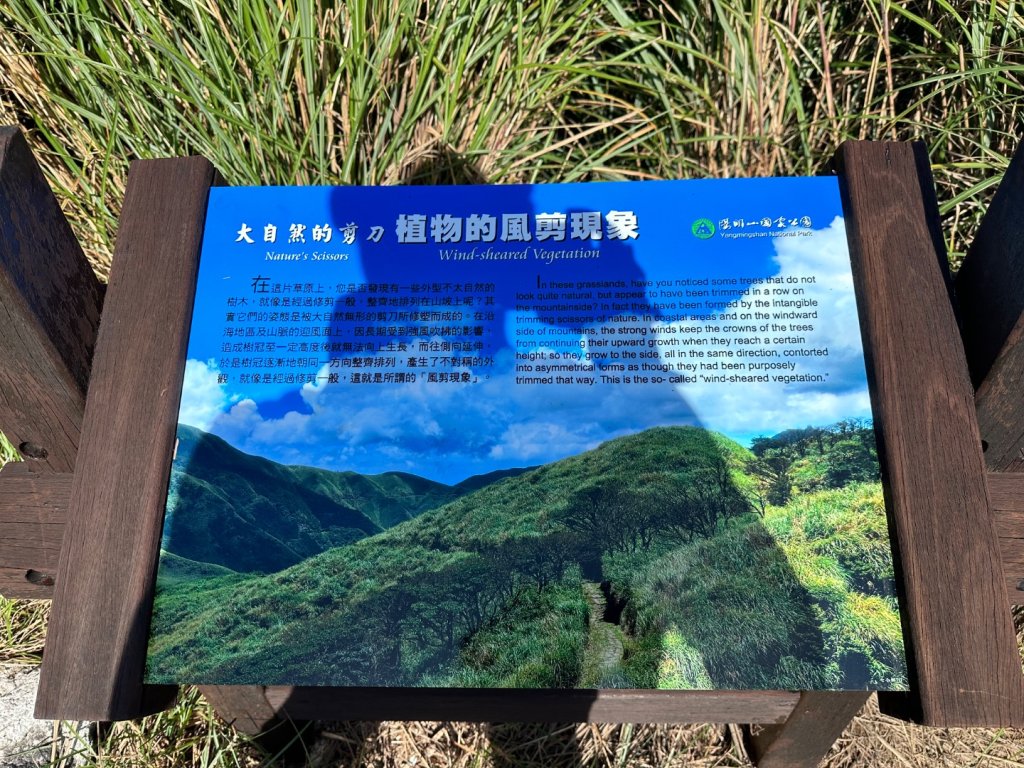 002七星山_2598733