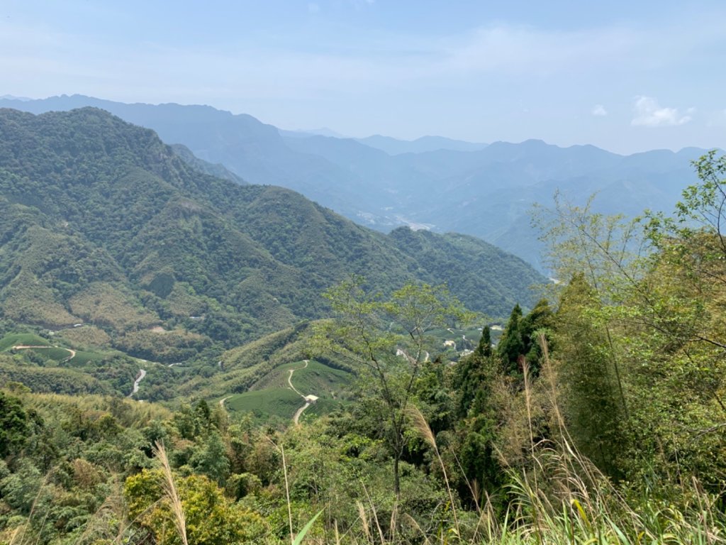 雲林古坑 石壁木馬古道_933583
