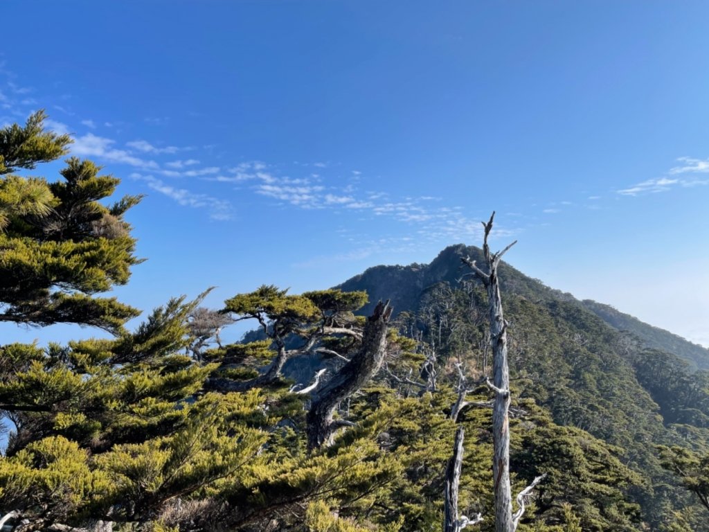 見證最美麗北大武山雲海、鐵杉_1318872
