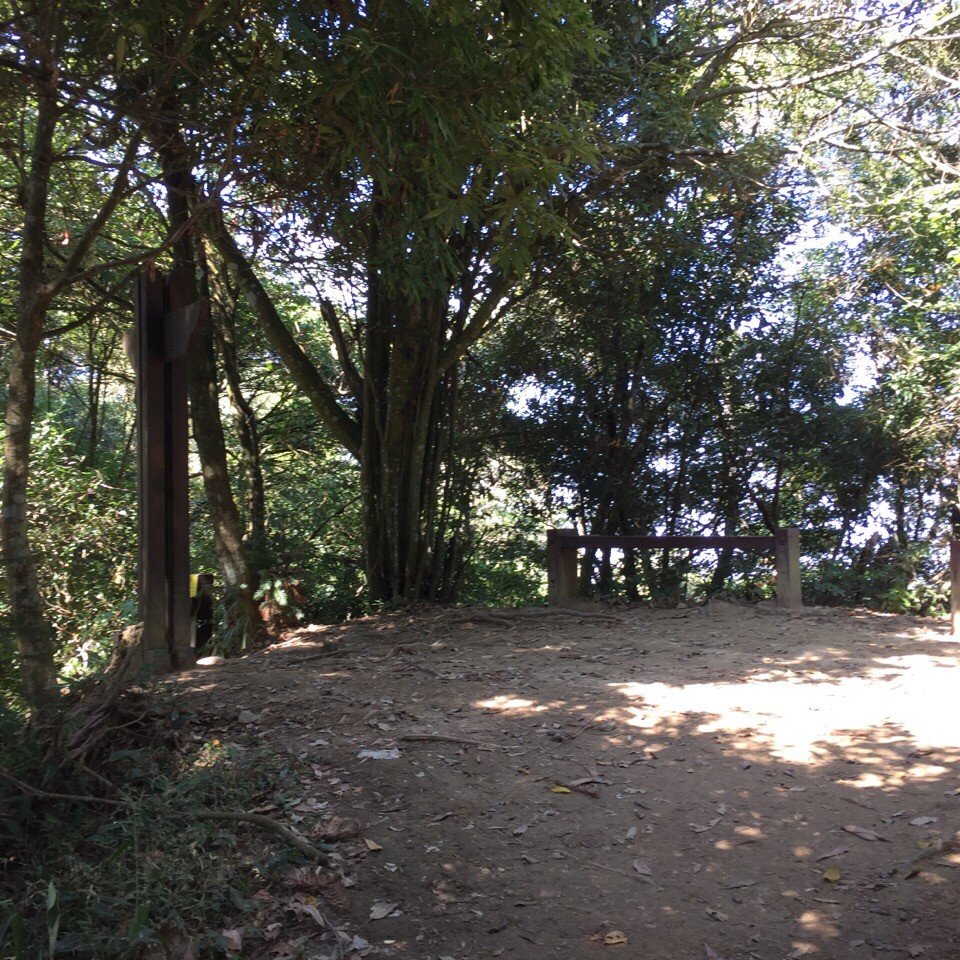 步道巡訪員 l 五指山十月巡訪日誌_1146178