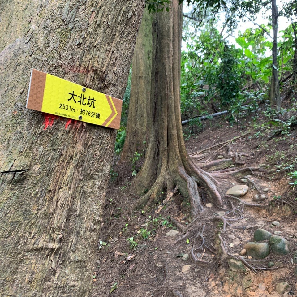 福人登山步道縱走大北坑_2063369