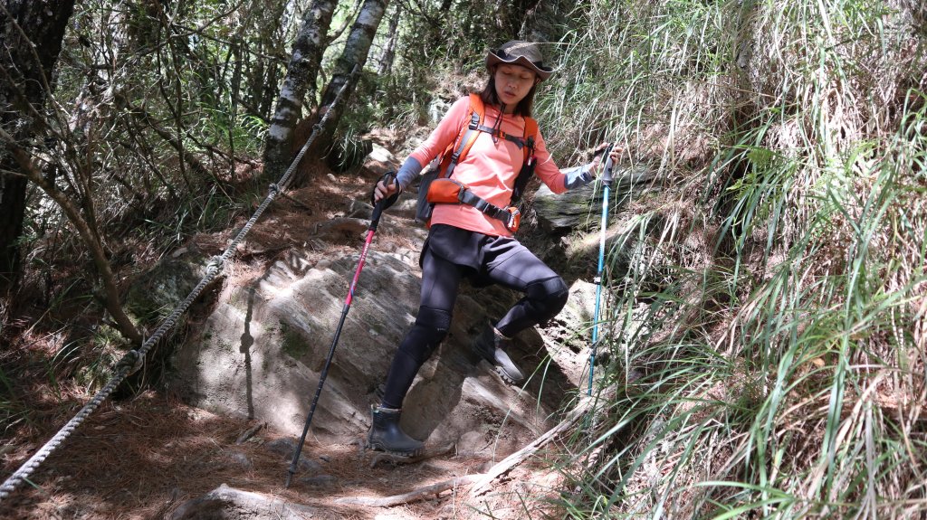 志佳陽大山登山健行趣(百岳47號)_1922576