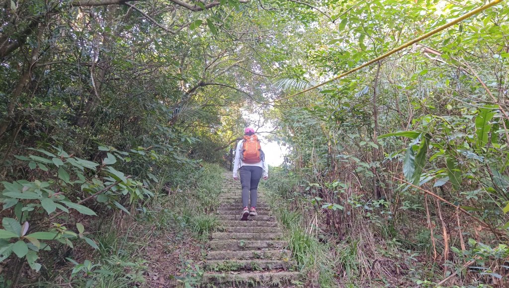 (姨婆趴趴走)第四十八集:新北草嶺古道（福隆車站-大里車站）_2747629