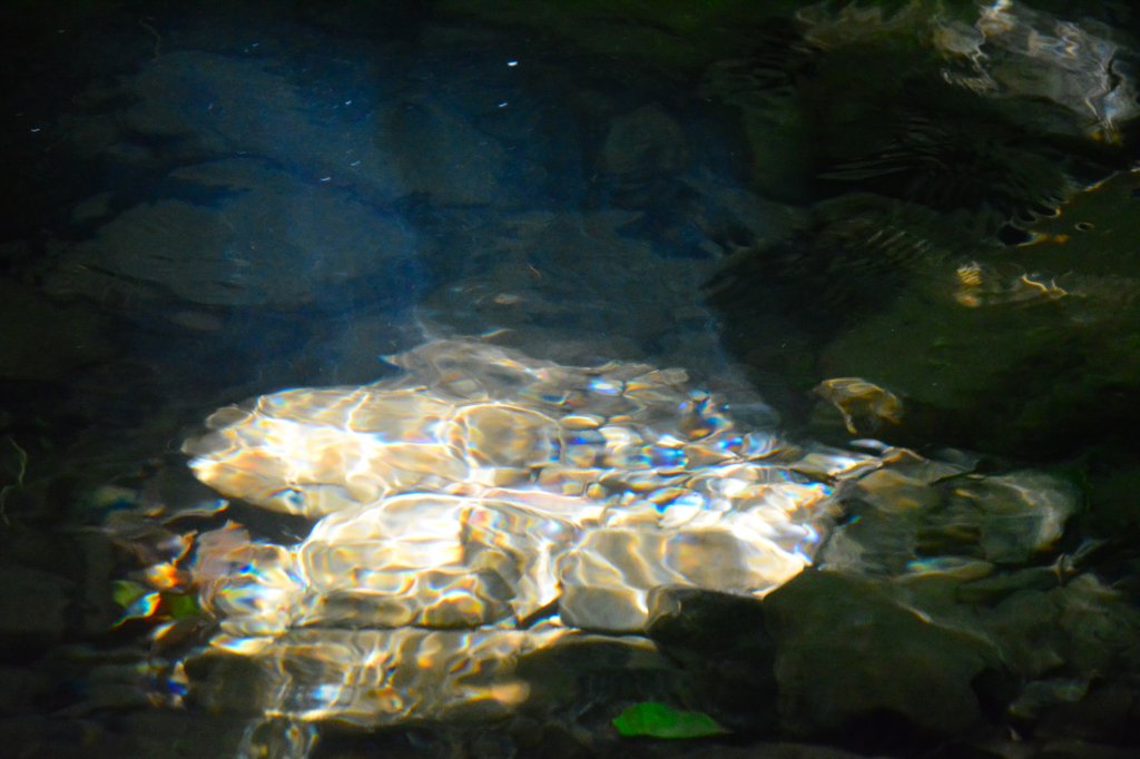 充滿禪意的坪溪古道_1455133