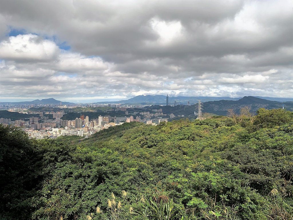 飛龍步道-樟山寺-樟樹步道_1265159