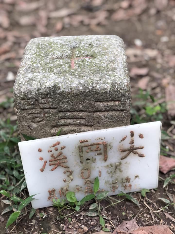 20230416三峽溪南尖山_2115324