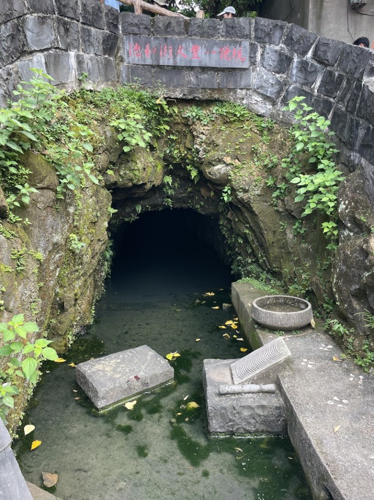 【大棟山系】百年大榕樹_2858106