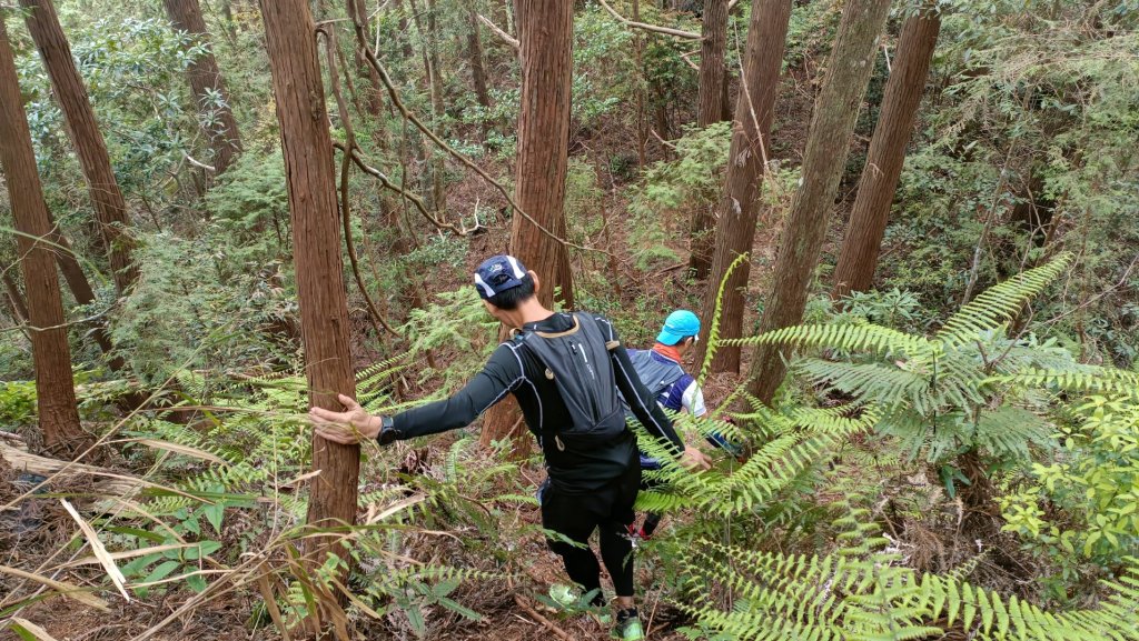 埔里六秀狩獵山徑部份賽道訓練探堪_1685861