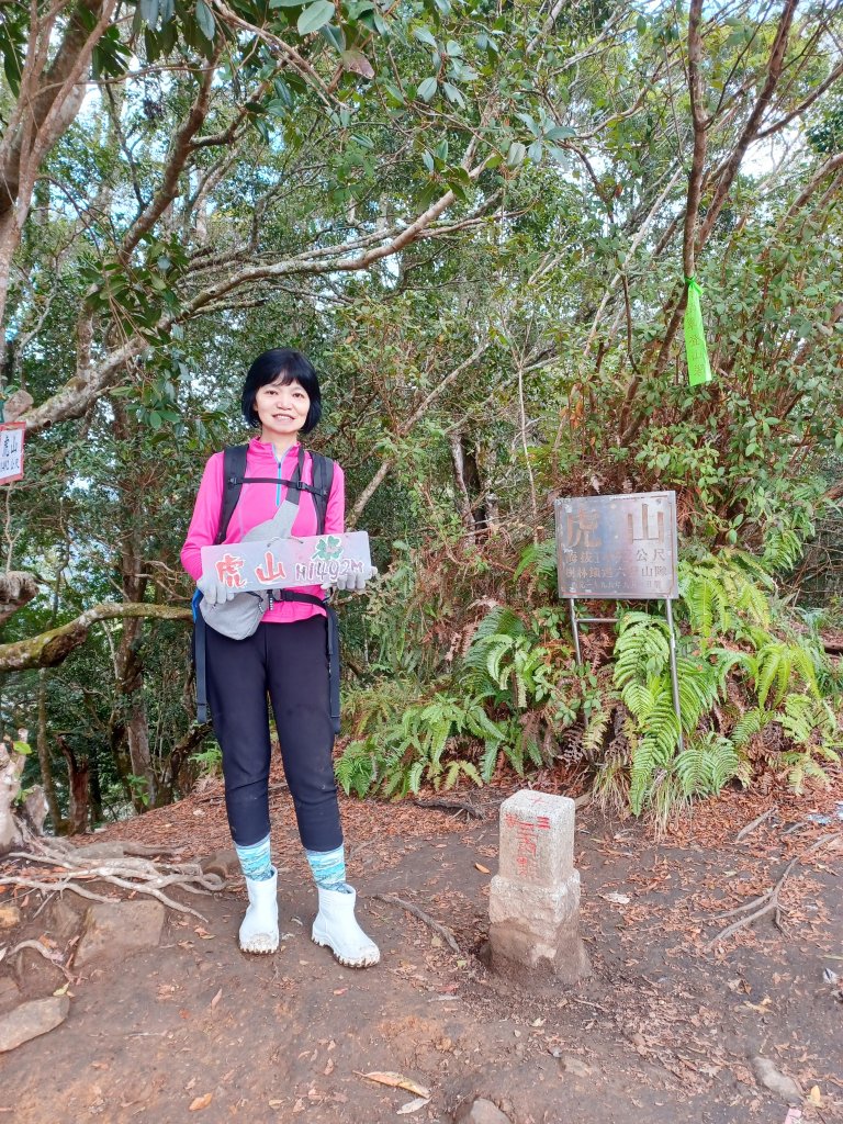 【苗栗泰安】中級山的大霸尖山。 虎山步道_2779620