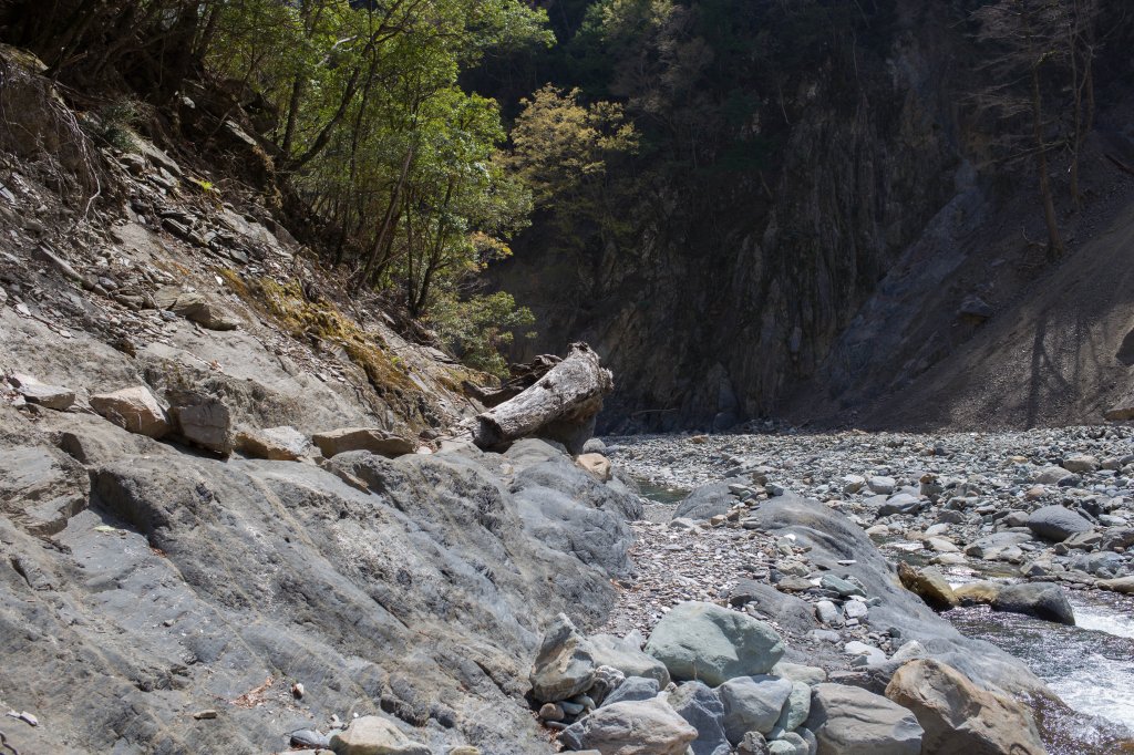 【高雄】多尾蘭山+玉穗山_870487
